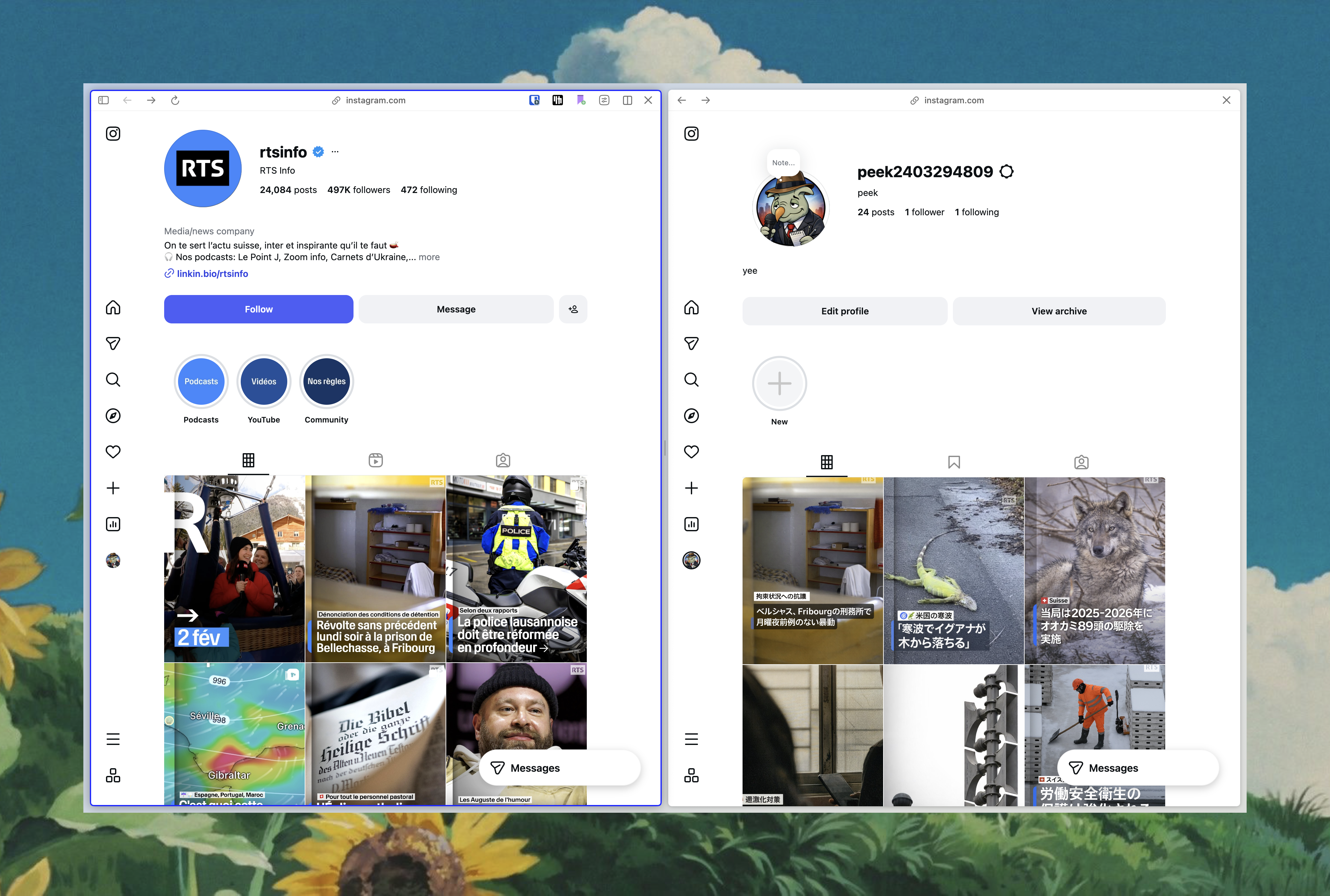 image of the project